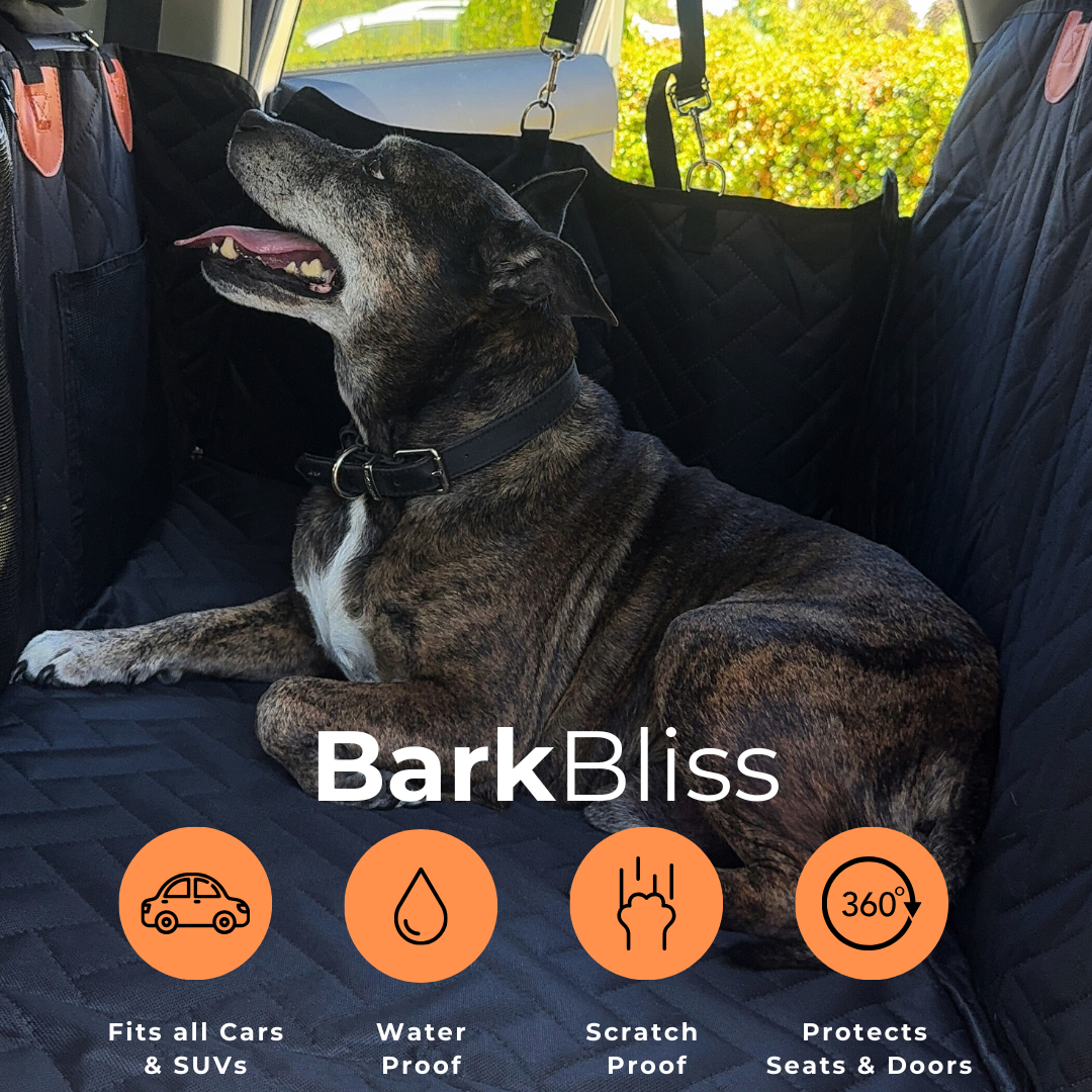 BarkBliss™️ Premium Hard Bottom Dog Car Seat Cover
